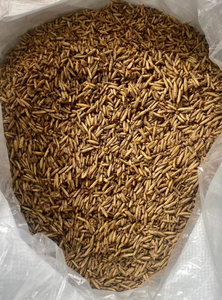 Gusanos de harina secos NutriRich para uso industrial/Sra. Katty - Product Image 3