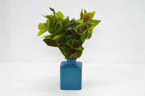 Chaude Mini Bouteille Forme Bleu Couleur Vente Chaude Poudre Enduit Premium Style Fantaisie Fleur Vase Luxueux Style Vase pour Luxures Maison - Product Image 2