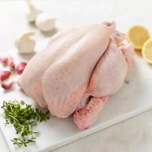 Bestseller Premium-Lieferant Halal Frozen Whole Chicken Halal Chicken verarbeitetes Fleisch im Großhandels preis