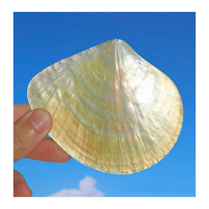 Coquille de nacre de haute qualité pièces de nacre du Vietnam pour incrustation artisanat bijoux accessoires et utilisations décoratives - Product Image 3
