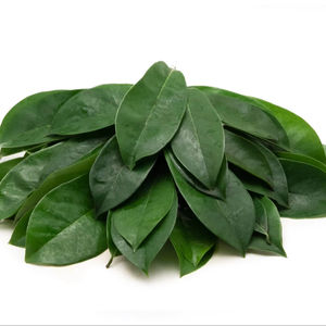 Feuilles de sop aigres cultivées au Vietnam entières en poudre séchées en vrac emballées pour les avantages pour la santé de la peau de thé Detox - Product Image 3