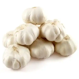 Ail blanc frais de fournisseurs autrichiens à prix économique Nouvelle arrivée - Product Image 1