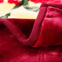 Großhandel 1 Ply Thick Korean Nerz geprägt Raschel Decken Warm Polyester gefüllt 1 Ply Sheets Big Size Bettwäsche für den Winter