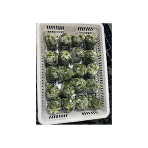 Harina de hoja de yuca rica en proteínas para alimentación del ganado fibra rica en proteínas sostenible bajo valor energético procesada higiénicamente - Product Image 1