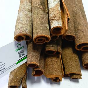 คุณภาพสูงทั้งหลอด Cassia/guipi/daalchini-ราคาไม่แพงพร้อมส่งออก (W .. A:+ 84362512699) - Product Image 4