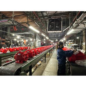 Motor eléctrico de CA trifásico superior Asíncrono 380V-50hz-60hz IP55 IP56 0.18kW-315kW Vietnam Nuevo Motor de alta eficiencia - Product Image 4