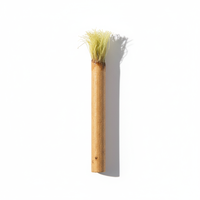 GoldenAura Bâton de dents à base de plantes Blanchiment naturel Nettoyage dentaire organique Gomme Santé Haleine fraîche Outil d'hygiène buccale en bois Miswak