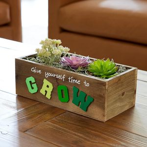 Platos de Madera Pulidos, Ecológicos, Reciclados y Apilables, Hechos a Mano, con Soporte, para Uso en Restaurantes, Venta al por Mayor - Product Image 2