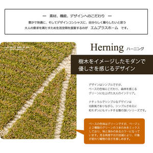 M + Home harning เสื่อประตูภายในประมาณสีเขียวขนาด45X70ซม. - Product Image 3