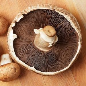 Champignons frais surgelés nutritifs et délicieux à vendre en gros - Product Image 6