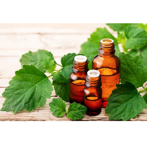 น้ำมันหอมระเหยกลิ่นพิมเสนดินน้ำมันหอมระเหยสำหรับน้ำมันหอมระเหยบรรเทาความเครียดดูแลผิวระงับกลิ่นกายธรรมชาติเพิ่มอารมณ์และผ่อนคลาย - Product Image 5