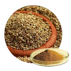 Alta demanda Trachyspermum Ammi Ajwain polvo crudo seco para cocinar procedente de la India - Product Image 2