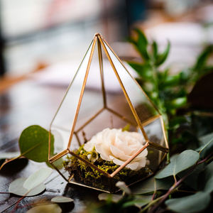 Nouveau verre Terrarium bougie lanterne pour la maison Table pièce maîtresse nouveau Design fait à la main en métal cadre plantes décor avec électro plaqué - Product Image 6