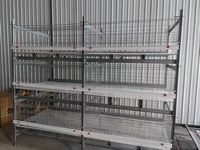 Nouveau système de cages en batterie en acier galvanisé de type H pour poules pondeuses, équipement d'élevage avicole, 3 à 8 niveaux, directement de l'usine