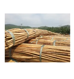 Durable Rattan Pole Vietnam Rattan Manau Cane 10/12mm, 14/16mm, 18/20mm Outdoor Furniture <b>Wicker</b> Rattan Pole Seller - Product Image 5