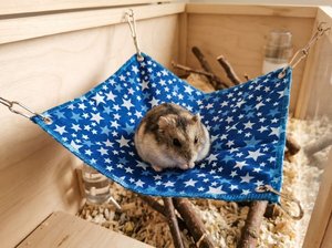 Hamac pour petits animaux S 22×27cm – Hamac suspendu lavable pour hamsters, furets, rats, cochons d'Inde, chinchillas - Product Image 3
