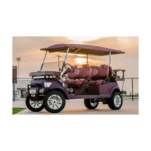 Voitures de golf électriques de qualité supérieure, blanches et noires, Club Car, buggy de chasse, contrôleur Curtis, aluminium (rouge, bleu, noir, blanc) - Product Image 5