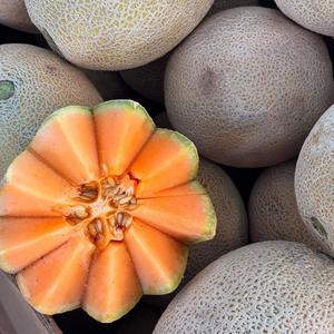 เมลอนคันตาลูปพรีเมียมสดใหม่จากธรรมชาติ - รสหวานเข้มข้น - Product Image 2