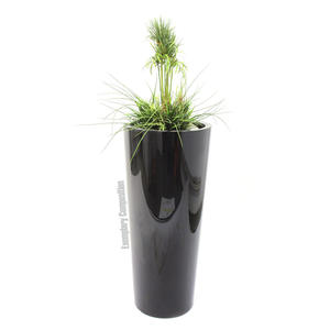 Arreglo de Césped Artificial de 90 cm de EUROPALMS - Product Image 2