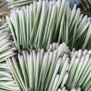 Citronnelle surgelée IQF du Vietnam, herbe aromatique fraîche pour l'industrie alimentaire et la vente au détail - Product Image 3