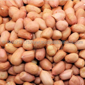 Cacahuetes naturales a la venta - Product Image 5