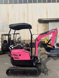 Mini Carter Excavator Vente mondiale 2ton Prix de l'excavatrice fournie en Autriche Moteur Moteurs marins à vendre - Product Image 2