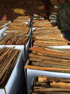 CANELA SPLIT AL MEJOR PRECIO Hecho en Vietnam con alta calidad // Buena CALIDAD DE Vietnam // Sra. Beatrix - Product Image 2