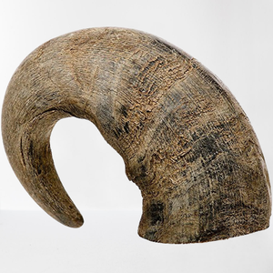 Cuerno Hueco de Búfalo Indio Natural Pulido de Alta Calidad, Juguete Masticable para Perros, Objeto Religioso Animal |   Artesanías Galore - Product Image 1