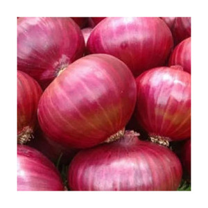 Venta caliente cebolla roja fresca grande, al por mayor suministro a granel, cebolla de exportación Premium, saludable y fresca, mejor precio, alta demanda - Product Image 1