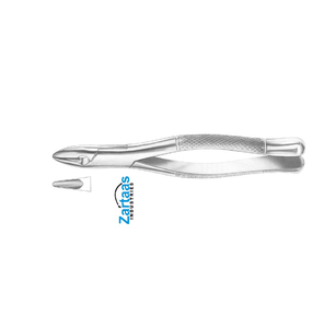 Forceps d'extraction en acier inoxydable de haute qualité W1-WINTER, pour les dents centrales et les canines supérieures, instruments dentaires - Product Image 1