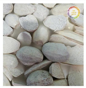 Raíz de taro congelada de grado de exportación desde Vietnam Rebanadas uniformes ideales para procesamiento de alimentos y negocios culinarios por 99 Gold Data - Product Image 1