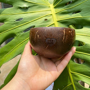 100% Ensemble de bols en noix de coco polie naturelle Ustensiles de cuisine écologiques avec logo personnalisé Artisanat à bas quantité minimale de commande Vietnam, y compris cuillère fourchette - Product Image 6