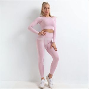 2024 New Arrival High Waist Breathable Eco-Friendly V Shape Workout Sets Women Solid <b>Pattern</b> 2-Piece Gym <b>Leggings</b> Padded - Product Image 1