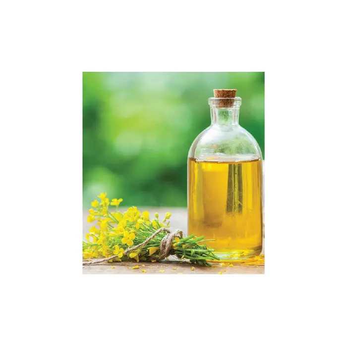 Óleo de colza bruto 100% puro orgânico certificado óleo de colza refinado 250 ml ou 500 ml óleo de colza refinado para molhos de salada,