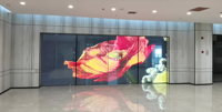 Pantalla LED Transparente y Flexible para Ventanas de Vidrio, Solución de Señalización Digital para Publicidad