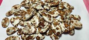 พลอยวอลลาสโตไนต์สีขาวธรรมชาติทรงปาล์มสโตนแบบหลวม น้ำหนัก 500 กรัม จากออสเตรเลีย สำหรับทำเครื่องประดับ - Product Image 5