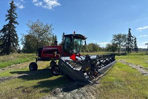 Massey Ferguson WR265 andaineuse d'occasion à vendre 2024 - Product Image 5