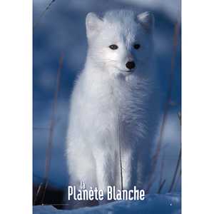 Póster Moderno del Planeta Blanco para Decoración de Pared - Product Image 1