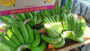 Bananes Cavendish savoureuses : fraîcheur garantie - Product Image 2