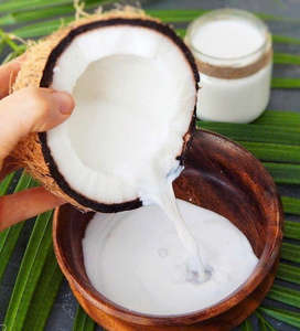 100% กะทิบริสุทธิ์จากภูมิภาคมะพร้าวที่มีชื่อเสียงของเวียดนามในราคาโรงงาน - Product Image 1
