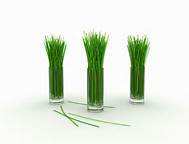 Huile essentielle de citronnelle de superbe qualité huile pressée à froid la plus vendue en gros avec marque privée - Product Image 4