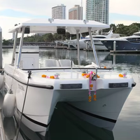 UBI 818 Catamaran en aluminium personnalisé, taxi fluvial de luxe, ferry pour la pêche, croisière fluviale, yacht 8,3 m, 14 passagers
