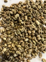 Grains de café Robusta vert 100% Robusta vert S16 au Vietnam avec un prix abordable pour les grossistes