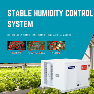 Deshumidificador Altaqua para Cuarto de Cultivo, Funcionamiento a Baja Temperatura, Tamaño Personalizado Disponible - Product Image 4