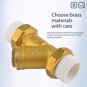 Chất lượng cao áp suất thấp Đồng lọc (PPR Đồng lọc) OEM ODM 1/2-2 "Mô hình - Product Image 4