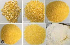 Maíz Amarillo Seco No Transgénico al por Mayor, No Glutinoso, para Alimentación Animal y Consumo Humano, Vida Útil de 24 Meses - Product Image 5