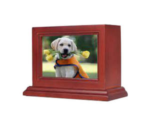 Caja de urna de madera de nuevo diseño de estilo americano moderno para cenizas de mascotas de gato y perro Urnas funerarias de cremación de madera con nuevo diseño - Product Image 3