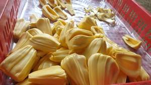 Rebanadas de Jaca congelada al por mayor-Exportación de Vietnam, el ingrediente vegetal más vendido para cocinar - Product Image 3