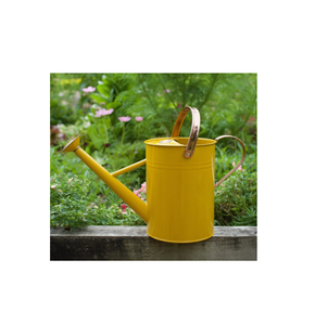 Arrosoir en métal pour plantes d'extérieur et d'intérieur Arrosoir décoratif pour une couleur personnalisée et un meilleur polissage - Product Image 4