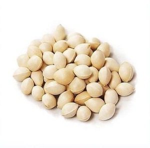 เมล็ดแปะก๊วยคุณภาพสูงสำหรับการแปรรูปอาหาร - Product Image 4